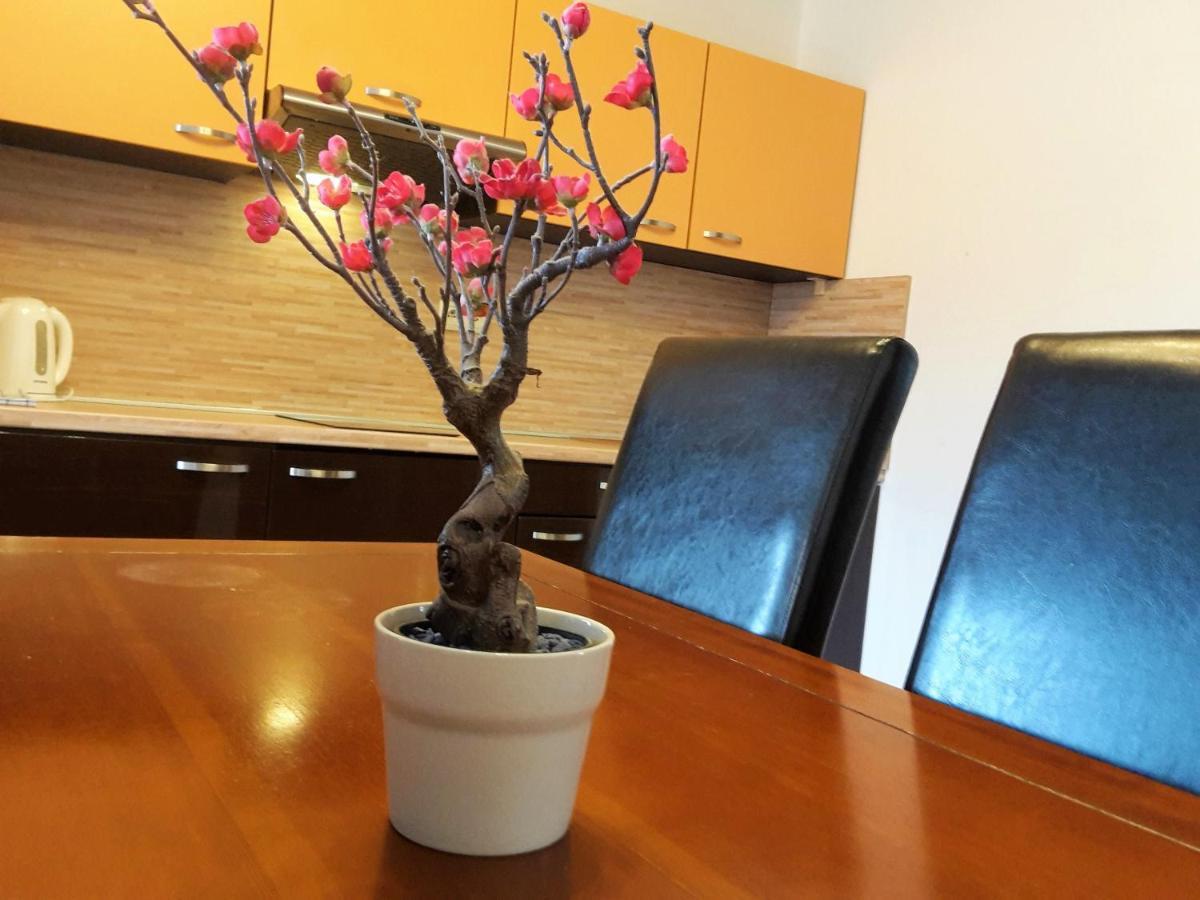 Apartman Slavkov Home & Parking Nová Lesná Eksteriør bilde